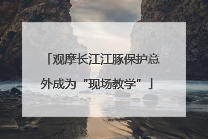 观摩长江江豚保护意外成为“现场教学”