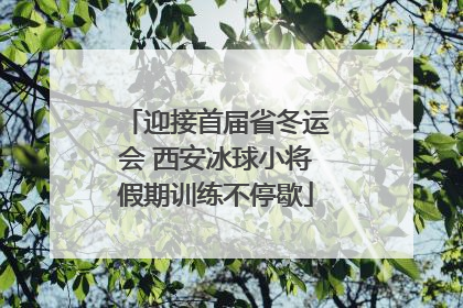 迎接首届省冬运会 西安冰球小将假期训练不停歇
