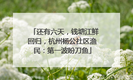 还有六天，钱塘江鲜回归，杭州杨公社区渔民：第一波盼刀鱼