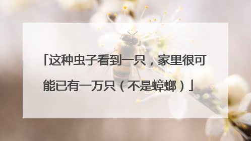 这种虫子看到一只，家里很可能已有一万只（不是蟑螂）
