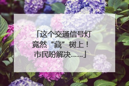 这个交通信号灯竟然“藏”树上！市民盼解决……
