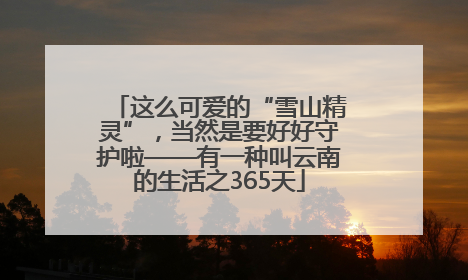 这么可爱的“雪山精灵”，当然是要好好守护啦——有一种叫云南的生活之365天