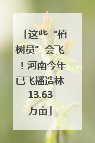 这些“植树员”会飞！河南今年已飞播造林13.63万亩