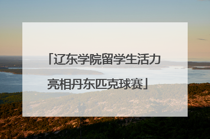 辽东学院留学生活力亮相丹东匹克球赛