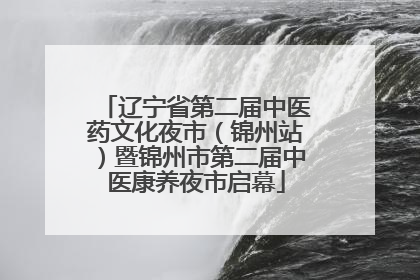 辽宁省第二届中医药文化夜市（锦州站）暨锦州市第二届中医康养夜市启幕