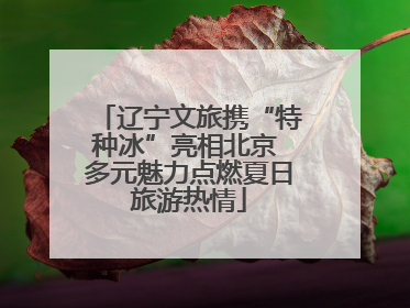 辽宁文旅携“特种冰”亮相北京 多元魅力点燃夏日旅游热情