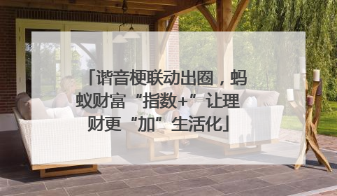 谐音梗联动出圈，蚂蚁财富“指数+”让理财更“加”生活化