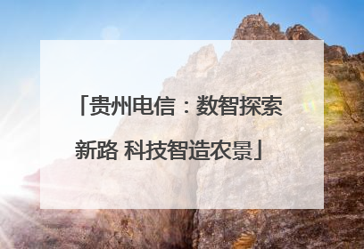 贵州电信：数智探索新路 科技智造农景