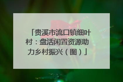 贵溪市流口镇细叶村：盘活闲置资源助力乡村振兴（图）