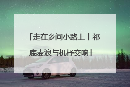 走在乡间小路上丨祁底麦浪与机杼交响