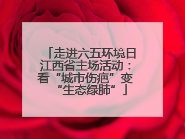 走进六五环境日江西省主场活动：看“城市伤疤”变“生态绿肺”