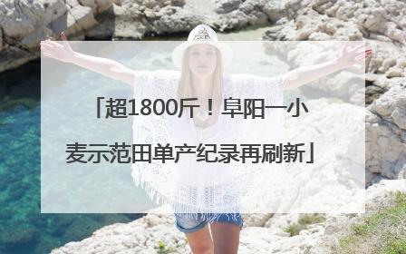 超1800斤！阜阳一小麦示范田单产纪录再刷新