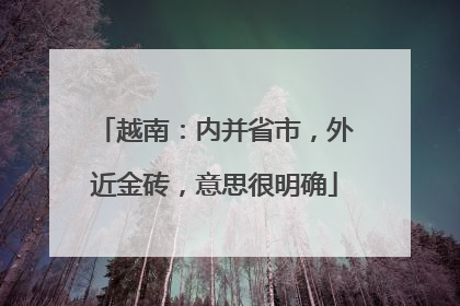 越南：内并省市，外近金砖，意思很明确