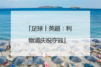 足球丨英超：利物浦庆祝夺冠