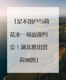 足不出户与荷花来一场浪漫约会！湖北推出赏荷地图
