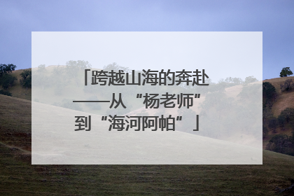 跨越山海的奔赴——从“杨老师”到“海河阿帕”