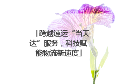 跨越速运“当天达”服务，科技赋能物流新速度