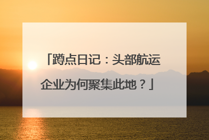 蹲点日记：头部航运企业为何聚集此地？