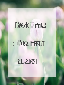 逐水草而居：草原上的迁徙之路
