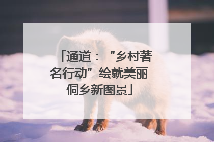 通道：“乡村著名行动”绘就美丽侗乡新图景