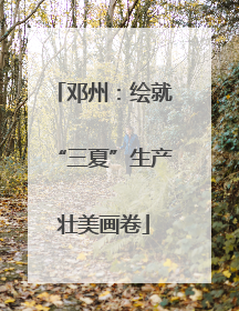 邓州：绘就“三夏”生产壮美画卷