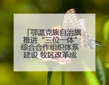 鄂温克族自治旗推进“三位一体”综合合作组织体系建设 牧区改革成果丰硕