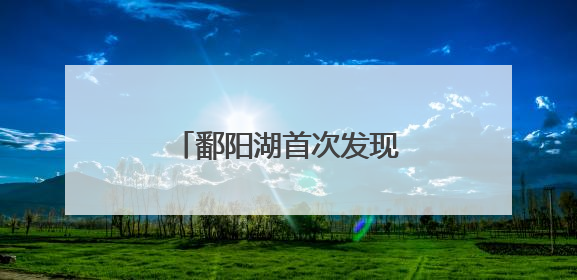 鄱阳湖首次发现彩鹮筑巢繁殖