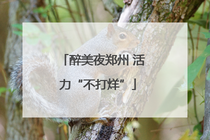 醉美夜郑州 活力“不打烊”