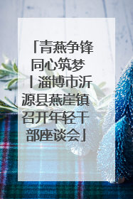 青燕争锋 同心筑梦丨淄博市沂源县燕崖镇召开年轻干部座谈会