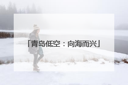 青岛低空：向海而兴