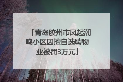 青岛胶州市凤起潮鸣小区因擅自选聘物业被罚3万元
