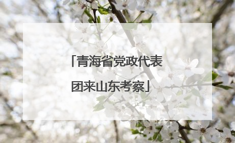 青海省党政代表团来山东考察