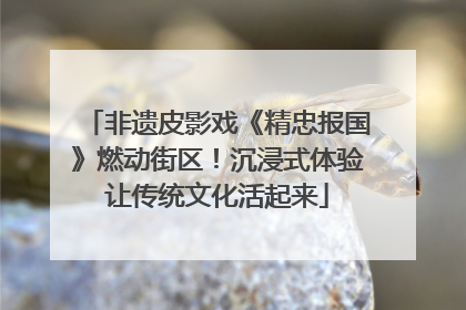 非遗皮影戏《精忠报国》燃动街区！沉浸式体验让传统文化活起来