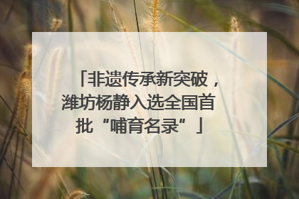非遗传承新突破，潍坊杨静入选全国首批“哺育名录”