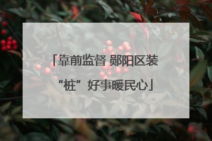 靠前监督 郧阳区装“桩”好事暖民心