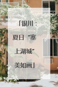 银川：夏日“塞上湖城”美如画