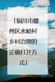 铜川市耀州区水峪村乡村治理的正确打开方式