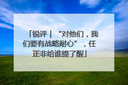 锐评｜“对他们，我们要有战略耐心”，任正非给谁提了醒