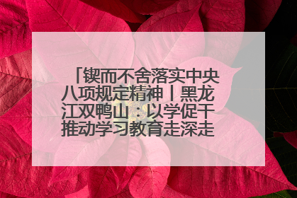 锲而不舍落实中央八项规定精神丨黑龙江双鸭山：以学促干推动学习教育走深走实 从小事入手写好“民生答卷”