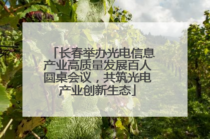 长春举办光电信息产业高质量发展百人圆桌会议，共筑光电产业创新生态