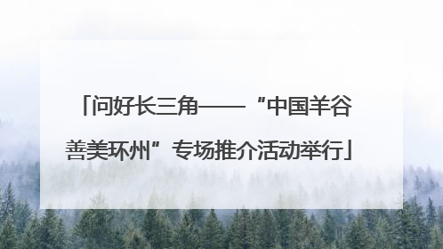 问好长三角——“中国羊谷 善美环州”专场推介活动举行