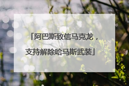 阿巴斯致信马克龙，支持解除哈马斯武装
