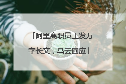 阿里离职员工发万字长文，马云回应