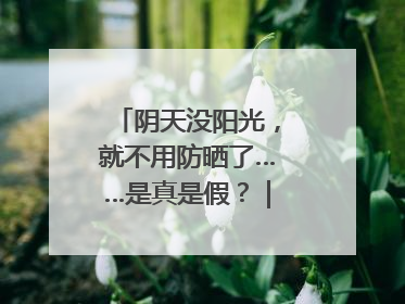 阴天没阳光，就不用防晒了……是真是假？｜谣言终结站