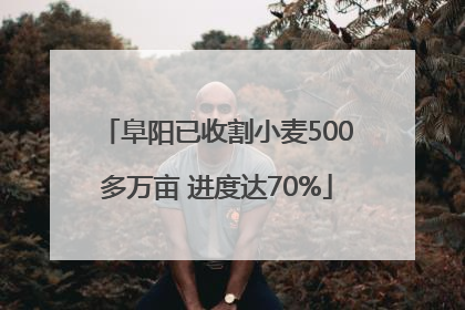 阜阳已收割小麦500多万亩 进度达70%