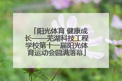 阳光体育 健康成长——芜湖科技工程学校第十一届阳光体育运动会圆满落幕
