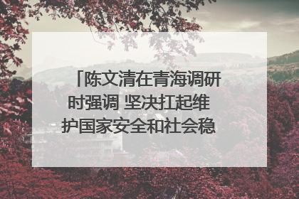 陈文清在青海调研时强调 坚决扛起维护国家安全和社会稳定职责使命 为谱写中国式现代化青海篇章贡献政法力量