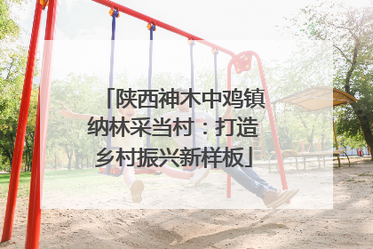 陕西神木中鸡镇纳林采当村：打造乡村振兴新样板