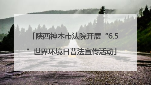 陕西神木市法院开展“6.5”世界环境日普法宣传活动
