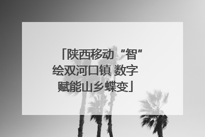 陕西移动“智”绘双河口镇 数字赋能山乡蝶变